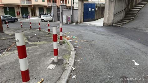 Scorribande Dei Cinghiali Con Spazzatura E Bidoni Rovesciati In Strada