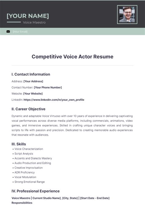 Voice Over Resume Media Communication Blogger Resume Examples For