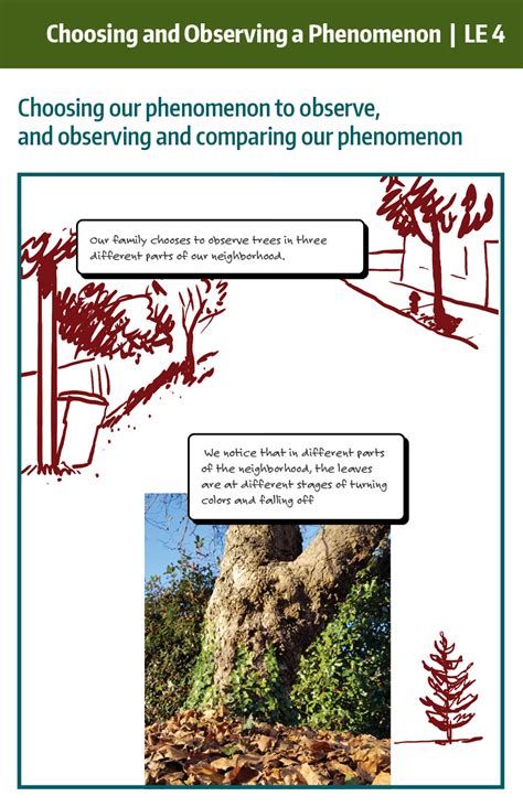 le  observing comparing phenomena learning  places