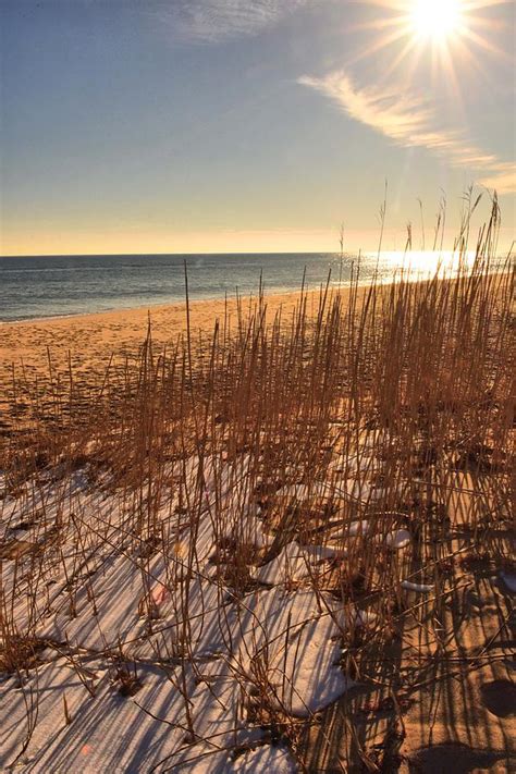 Coast Guard Beach Photograph by Catherine Reusch Daley | Fine Art America