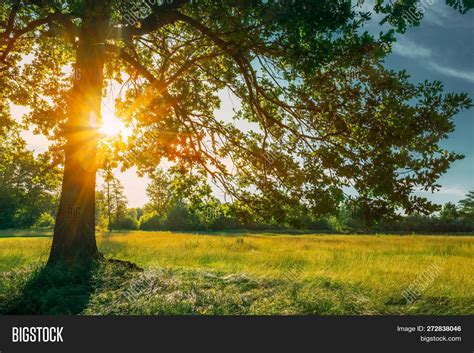 Beautiful Sunset Image & Photo (Free Trial) | Bigstock