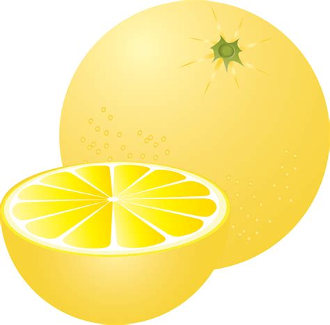 Grapefruit Watercolor Fruit Clipart Graphic by Clipart Fusion #3937613
