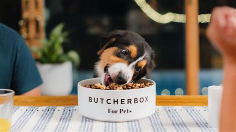 ButcherBox for Pets Cyber Monday Deal: 50% OFF First Box of Premium Pet