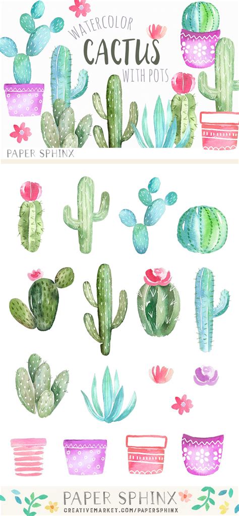 Watercolor Cactus Graphic Pack Illustrations ~ Creative Market