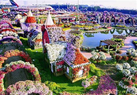 Dubai Miracle Garden | Dubai.de