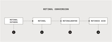 retinol  secret   youthful  skin