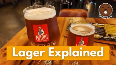 Lager Explained: What Is It And How Does It Compare To Other Beer ...