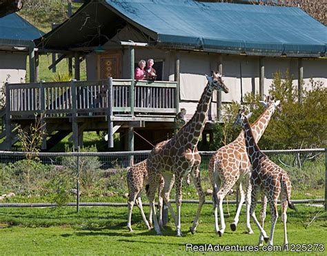 Safari West Santa Rosa California Hotels And Resorts Realadventures
