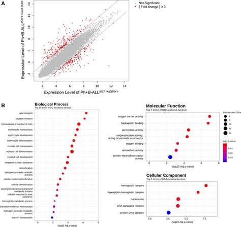 A Microarray analysis of differentially expressed genes in BM sample ...