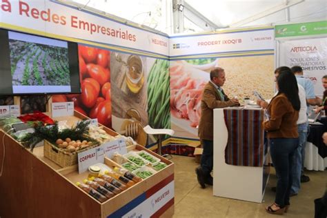 Exportaciones Agrícolas 20 Años De Crecimiento Y Diversificación De La