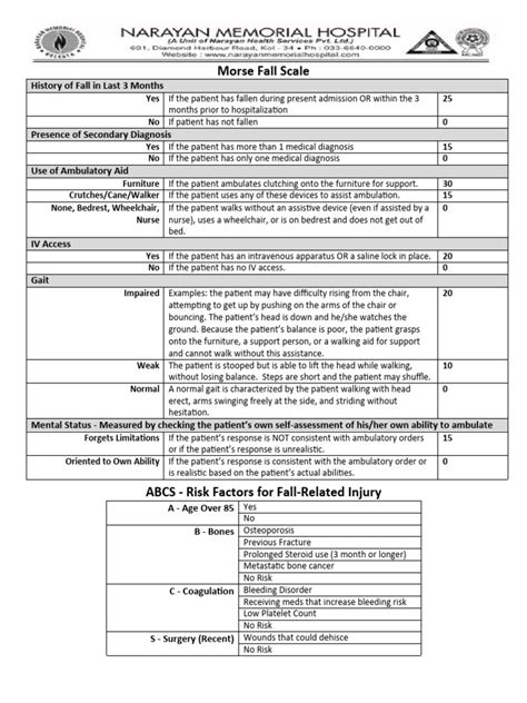 Morse Fall Scale Download Free Pdf Bleeding Osteoporosis