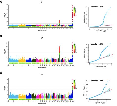 The Manhattan And Q Q Plots Of The Genome Wide Association Study Gwas