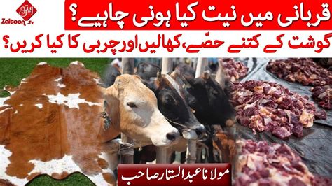 Qurbani Mein Kia Niyat Honi Chahiye Gosht Ke Kitne Hissay Khalen