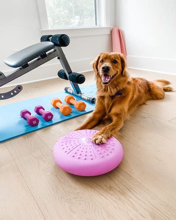 Amazon 【tumaz】バランスディスク バランスクッション あらゆるカラー ポンプ付き より厚く、耐久性のある素材 フィットネス 体幹トレーニング エクササイズ コア