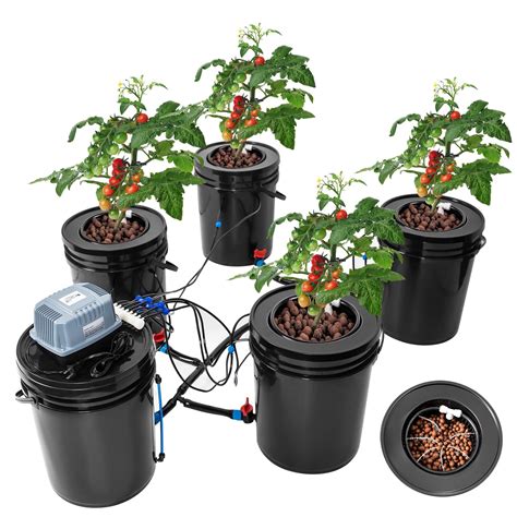 Buy Bavnnro Dwc Hydroponic Bucket System Recirculating Top Feed Drip