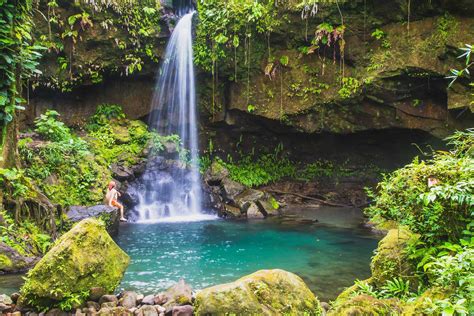 Dominica Island The Lesser Known Green Gem Of The Caribbean Lindblad Expeditions