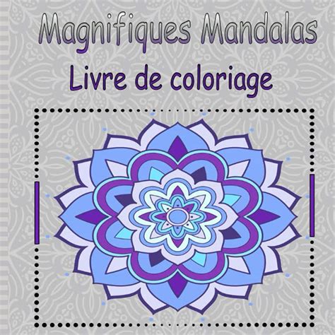 Buy Magnifiques Mandalas Livre De Coloriage Livre De Coloriage Pour