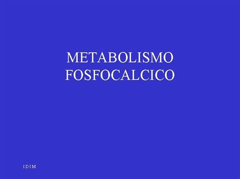 METABOLISMO FOSFOCALCICO IDIM PO 4 IDIM REGULACION DE