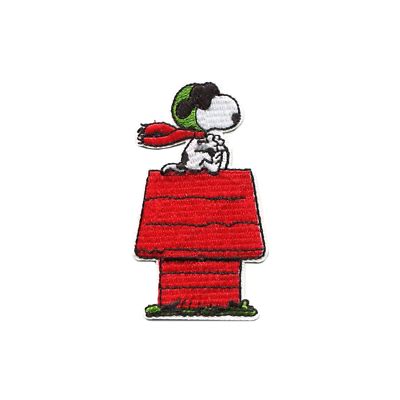 Comic Strip Snoopy Flying Ace