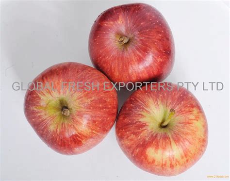 Royal Gala Apples Productssouth Africa Royal Gala Apples Supplier