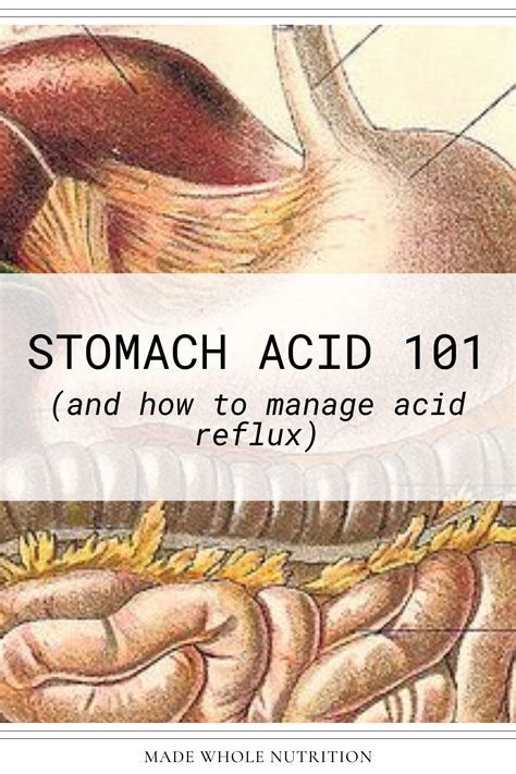 STOMACH ACID 101 (and how to manage acid reflux) — Functional Health
