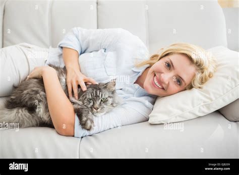 Blonde Tabby Cat Hi Res Stock Photography And Images Alamy