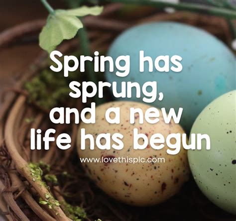 Spring Has Sprung And A New Life Has Begun Pictures Photos And