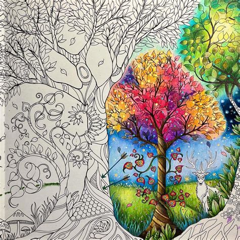 tree colouring magical forest coloring enchanted forest johanna