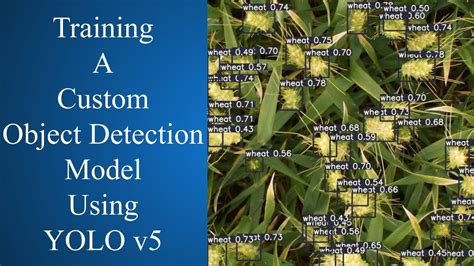 Train Custom Object Detection Model With Yolo V Youtube