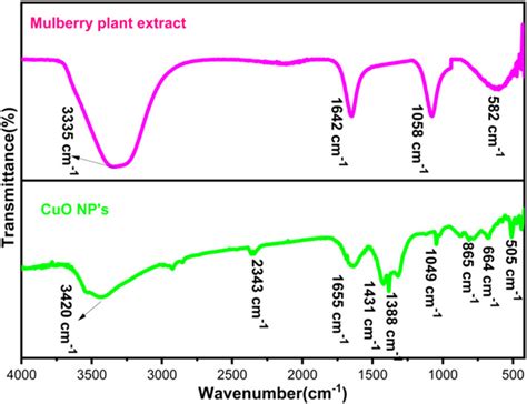 Ftir Spectra Of Cuo Nanoparticles And Plant Extract Download