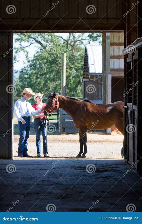 Vaquero Cowgirl Y Caballo Vertical Foto De Archivo Imagen De