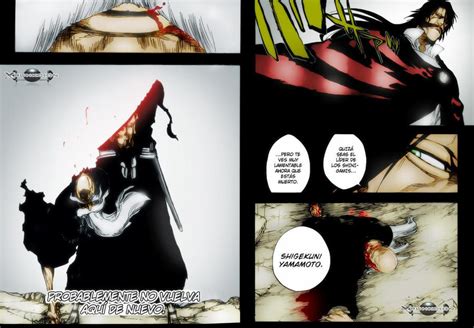 Bleach 511: Yamamoto's dead by XxAlessioxX on DeviantArt