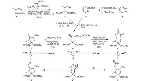 Scheme Synthesis Of Cyclic Amino Acids Via Allylic Alkylation