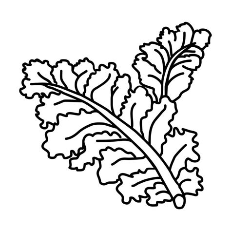 Kale Icon Doodle Hand Drawn Or Outline Icon Style Vector Art