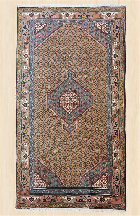 Ardabil - Size: 150 x 300 cm | eCarpet