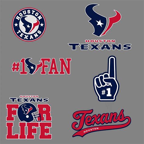 The Houston Texans Professional American Football Team National