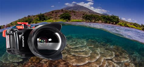What Is Wide Angle Lens In A Camera At Gail Pagano Blog