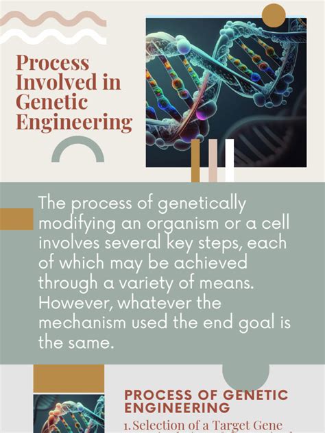 process involved  genetic engineering  plasmid molecular cloning