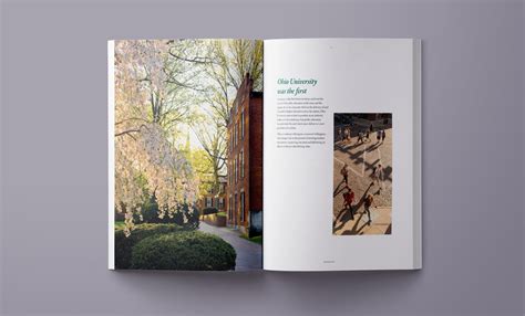 Ohio University Strategic Framework Booklet - Haley Hopper