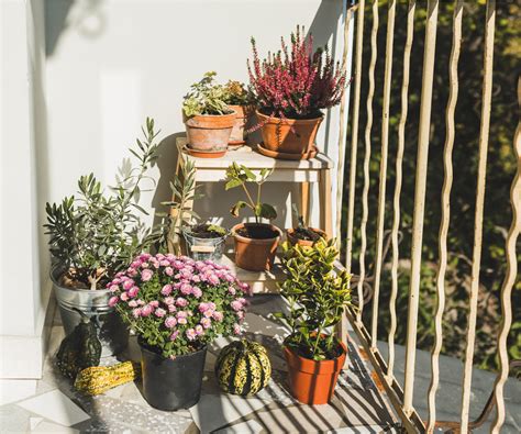 How to garden on a west-facing balcony: 3 ideas | Homes and Gardens