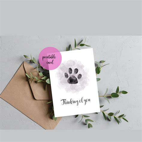 Psychologists explain why dog sympathy cards provide essential comfort 1