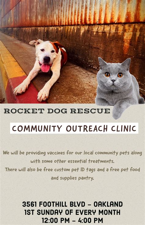 Community Outreach Clinic Oakland Rocket Dog Rescue