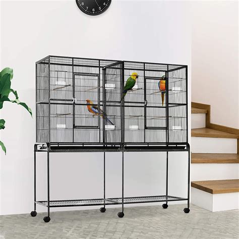 10 Best Bird Cages For Your Feathered Friend