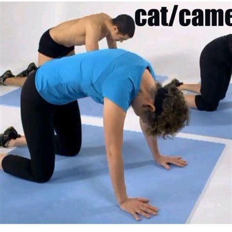 Cat Camel - Exercise How-to - Workout Trainer by Skimble