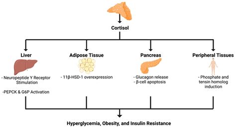 Ijms Free Full Text Pathophysiological Link Between Insulin