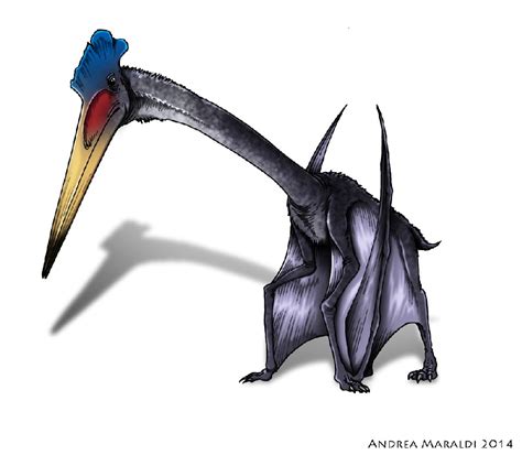Hatzegopteryx Pictures And Facts The Dinosaur Database