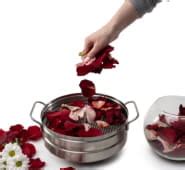 Купить гидролатор Ева 5 в 1 для домашней косметики