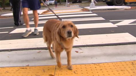 Walk To School Day At Gayton Elementary Henrico County Public School
