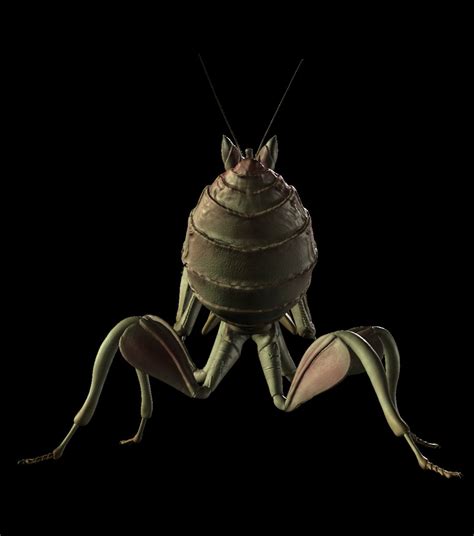 Orchid Mantis Nymph 3d Model 5 Ma Unknown Fbx Free3d
