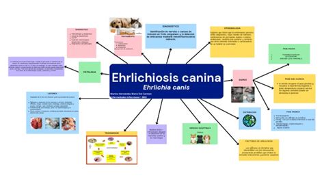 Ehrlichiosis Canina Pdf